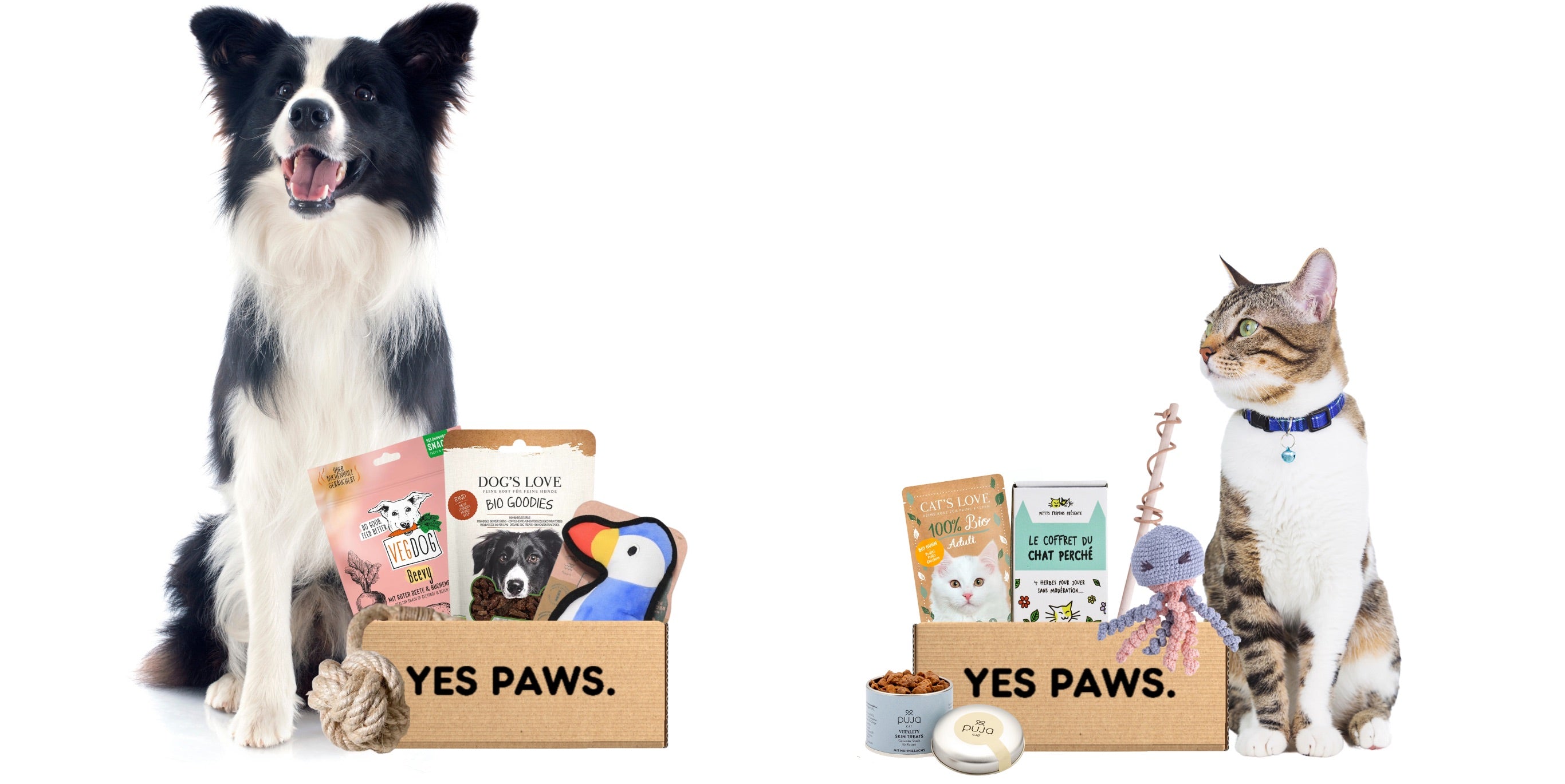 The eco-friendly and natural gift for dogs and cats – YES PAWS.